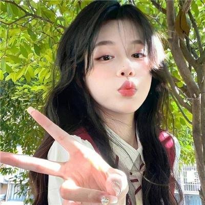 庇护所